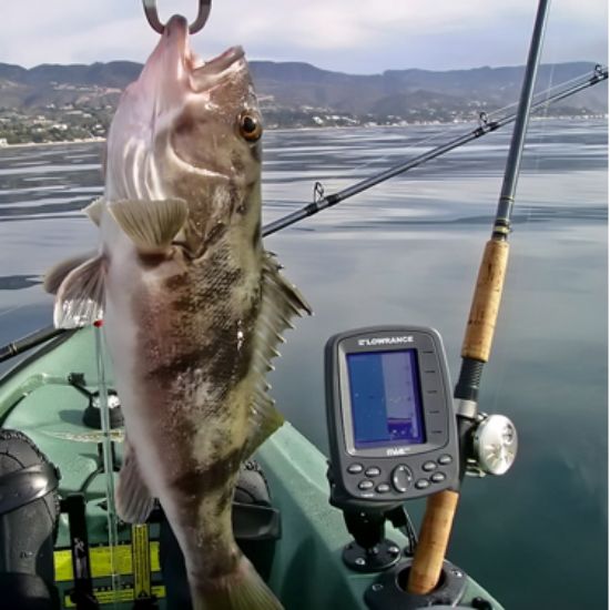 RAM® Fishfinder Mount for Humminbird Devices