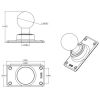 RAM® 50x100mm Half VESA Plate with Ball