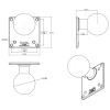 RAM® 100x100mm VESA Plate with Ball