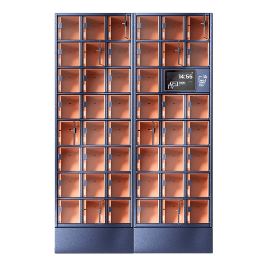 Szafa skrytkowa, 46 skrytek, skrytki standard, LCD+LF; licencja roczna na oprogramowanie CDM Cloud