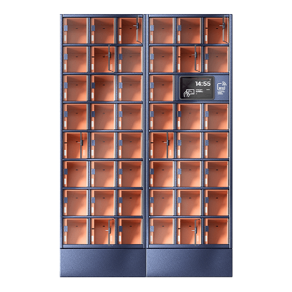 Szafa skrytkowa, 46 skrytek, skrytki standard, LCD+HF; licencja roczna na oprogramowanie CDM Cloud