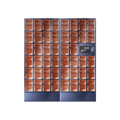 Szafa skrytkowa, 46 skrytek, skrytki duże, LCD+LF; licencja roczna na oprogramowanie CDM Cloud