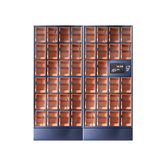 Szafa skrytkowa, 46 skrytek, skrytki duże, LCD+LF; licencja roczna na oprogramowanie CDM Cloud