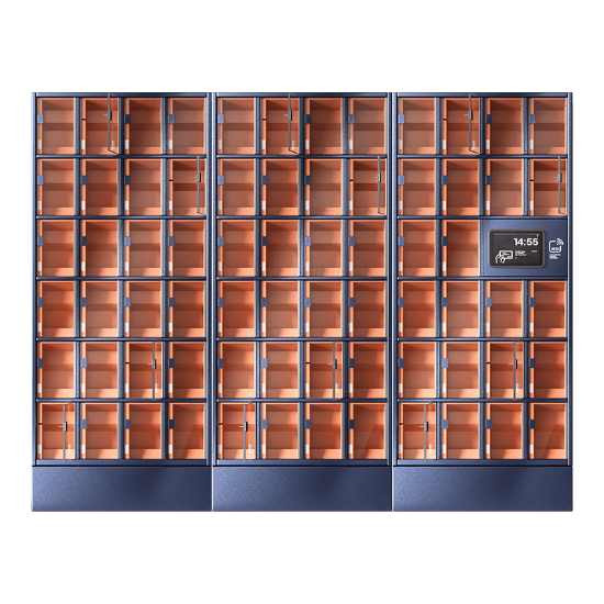 Szafa skrytkowa, 70 skrytek, skrytki duże, LCD+LF; licencja roczna na oprogramowanie CDM Cloud