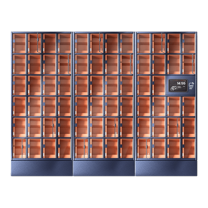 Szafa skrytkowa, 70 skrytek, skrytki duże, LCD+HF; licencja roczna na oprogramowanie CDM Cloud