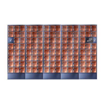 Szafa skrytkowa, 117 skrytek, skrytki standard, LCD+2x HF; licencja roczna na CDM Cloud