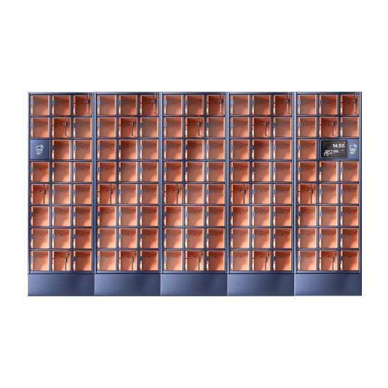 Szafa skrytkowa, 117 skrytek, skrytki standard, LCD+2x HF; licencja roczna na CDM Cloud