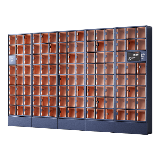 Szafa skrytkowa, 117 skrytek, skrytki standard, LCD+2x HF; licencja roczna na CDM Cloud
